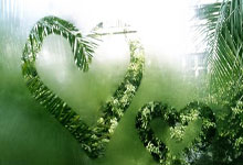 欧博：[NBA]里夫斯快下斜传 詹姆斯空切单手劈扣.